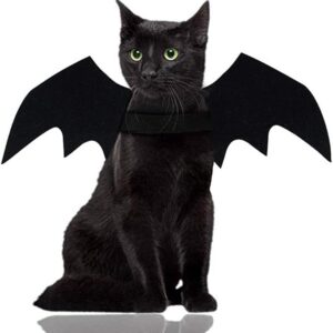 Malier Halloween Cat Costume for Cats Dogs Pet Bat Wings Cat Dog Bat Costume Wings - Image 1