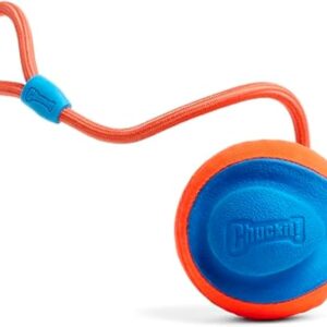 Chuckit! Rope Fetch Dog Toy - Ball on Rope Fetch and Tug-of-War Toy for Dogs - Durable EVA Rubber Construction - 5.5-inch Diameter - 18-inch Rope - Orange and Blue - Image 1