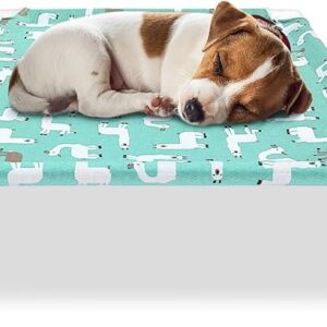 Elevated Dog Bed Pet cot for Small Dogs, Indoor and Outdoor Use for Small Pets - Image 1