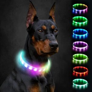 Joytale Light Up Dog Collar, Rainproof and Rechargeable LED, 9 Flashing Modes, Glow for Night Walking, Cuttable Soft Silicone Collar for Large Medium Small Dogs, 27.5 Inch - Image 1