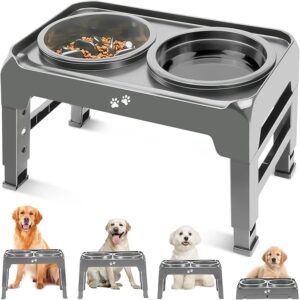 Elevated 2-in-1 Dog Feeder - Adjustable Raised Dog Bowl Stand with Non-Slip Slow Feeder & Water Bowl for Medium Large Dogs, Grey - Image 1