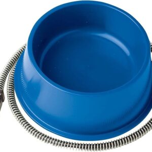 Farm Innovators 1 Quart Plastic Heated Pet Bowl with Anti Chew Cord and 25 Watts of Power for Rabbits, Dogs, Cats, and All Breed Sizes, Blue - Image 1