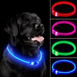 LED Dog Collar, Rechargeable Light Up Dog Collars,IP67 Waterproof Dog Lights for Night Walking?Adjustable, Reusable Safety Necklace for Small Medium Large Dogs(Blue) - Image 1