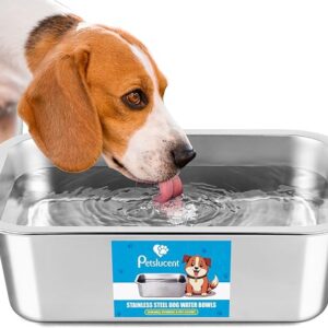 Stainless Steel Dog Water Bowl: 1.25 Gallons Metal Pet Water & Food Bowl No Spilling - High Capacity Dog Bowls for Medium, Larges, X-Large Dogs - Image 1