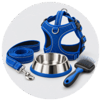 Blue dog gear essentials-2 Blue dog gear essentials-2