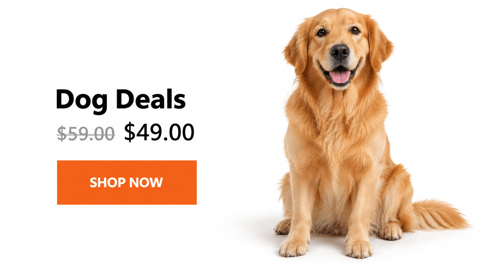 Golden Retriever Dog Deals Banner (1)